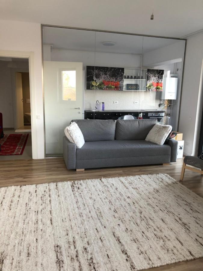 Brancusi Apartment Bucarest Esterno foto